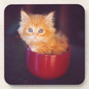 Posavasos Gatito anaranjado en una taza roja