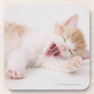 Posavasos Gatito de bostezo en el fondo blanco
