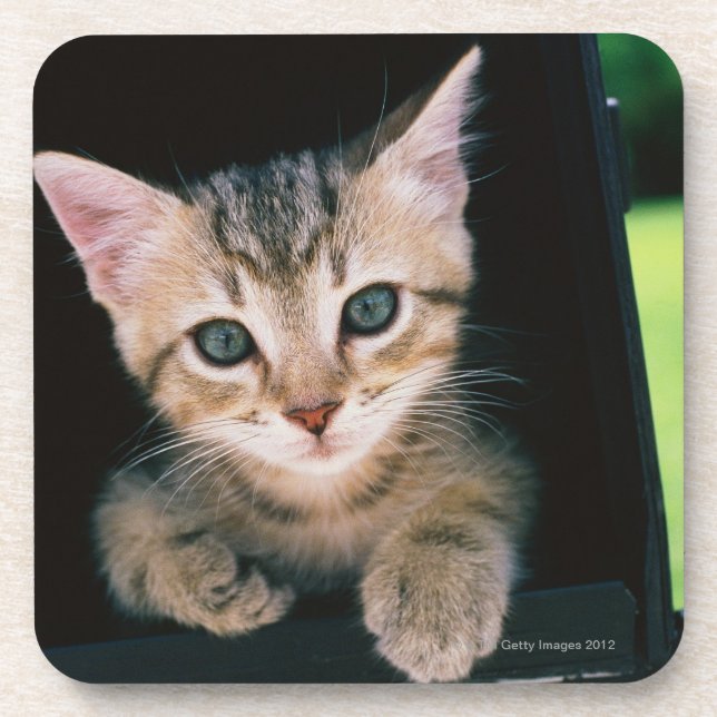 Posavasos Gatito dentro del buzón (Frente)