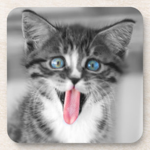 Posavasos Gatito divertido