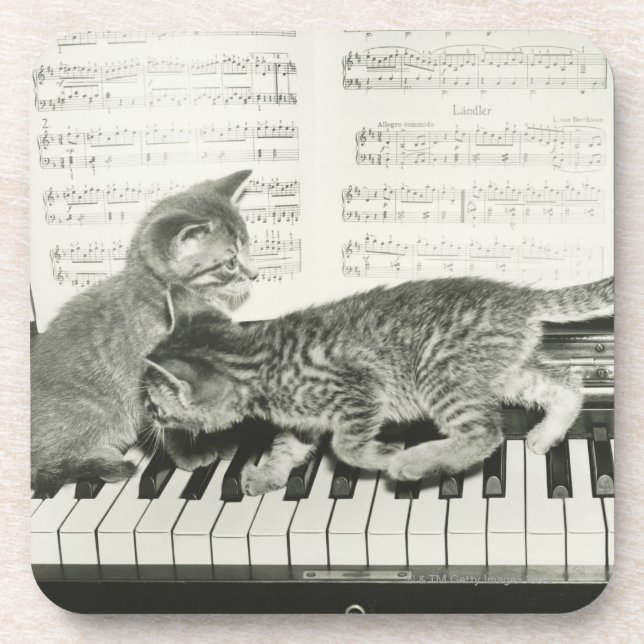 Posavasos Gatito dos que juega en el teclado de piano, (B&W) (Frente)