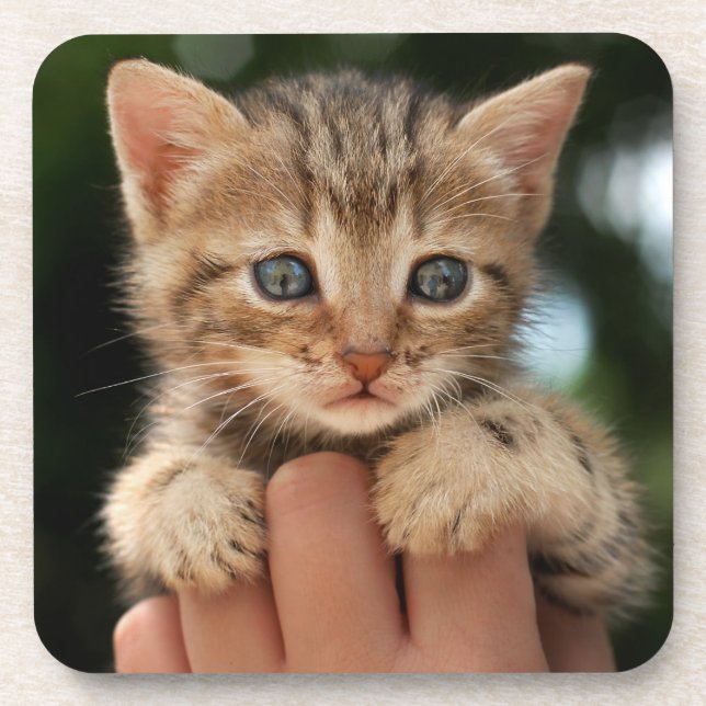 Posavasos Gatito dulce del bebé (Frente)