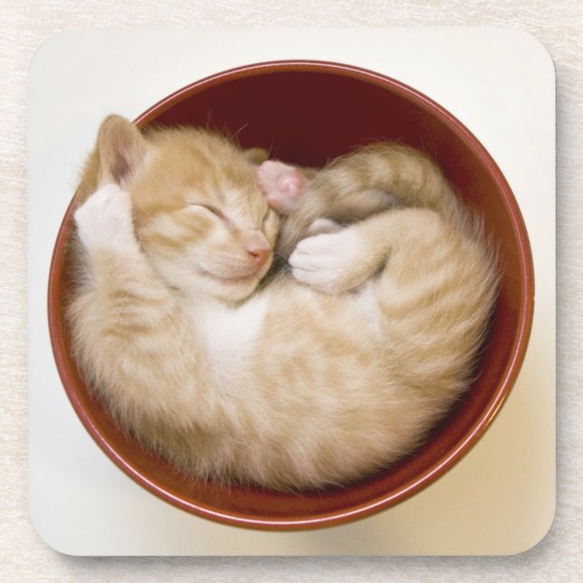Posavasos Gatito el dormir (Frente)