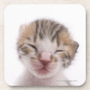 Posavasos Gatito el dormir