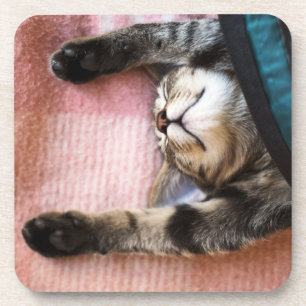 Posavasos Gatito el dormitar