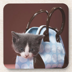 Posavasos Gatito en bolso