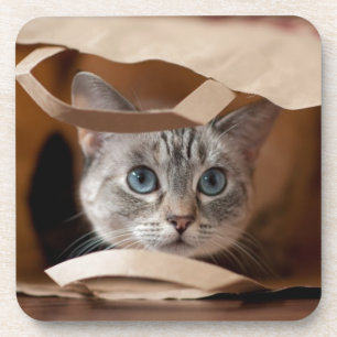Posavasos Gatito en bolso de ultramarinos