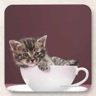 Posavasos Gatito en taza y platillo
