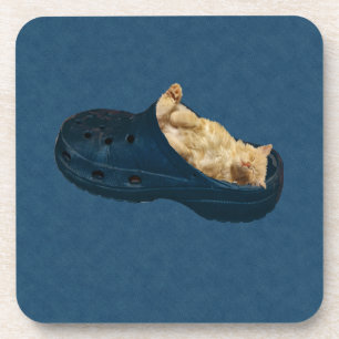 Posavasos Gatito Fluffy Dormido En Zapatos De Croc, Astillas