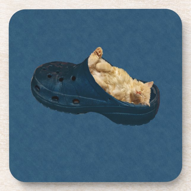 Posavasos Gatito Fluffy Dormido En Zapatos De Croc, Astillas (Frente)