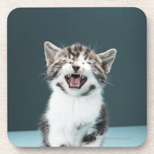 Posavasos Gatito meowing