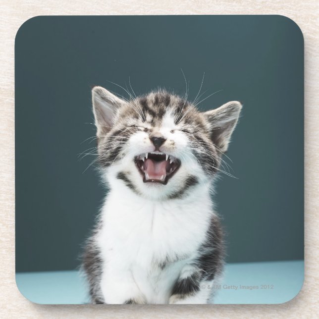 Posavasos Gatito meowing (Frente)