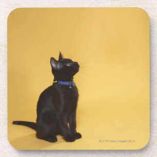 Posavasos Gatito negro en cuello