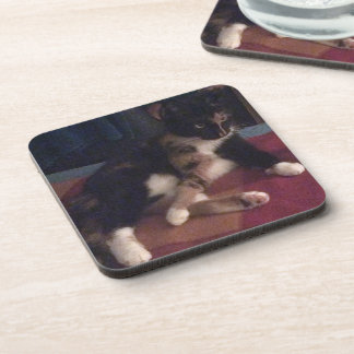 Posavasos Gatito Patas Suaves