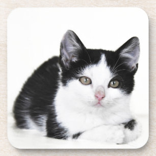 Posavasos Gatito Pensativo Blanco Negro