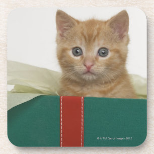 Posavasos Gatito que mira a escondidas de la caja de regalo