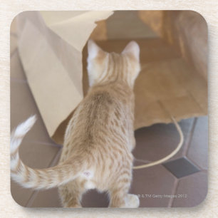 Posavasos Gatito que mira en el abismo de un bolso