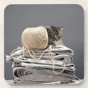 Posavasos Gatito que se sienta en la pila de periódicos