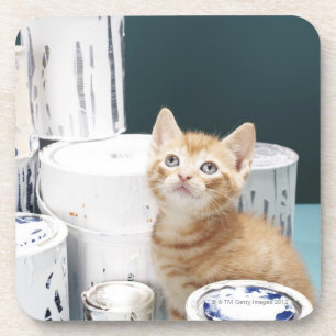 Posavasos Gatito que se sienta entre las latas de la pintura