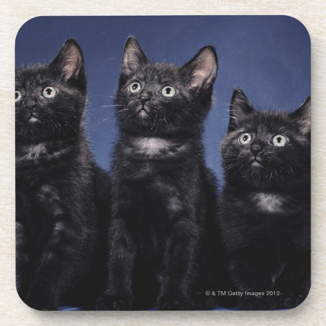 Posavasos Gatitos (Frente)
