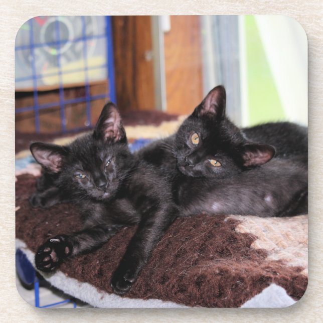 Posavasos Gatitos (Frente)
