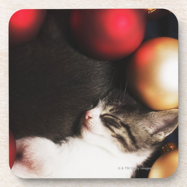Posavasos Gatitos durmiendo en decoraciones (Frente)