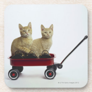 Posavasos Gatitos en carro