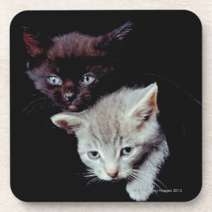 Posavasos Gatitos ligeros y oscuros