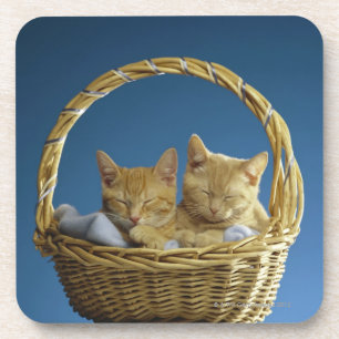 Posavasos Gatitos que duermen en cesta