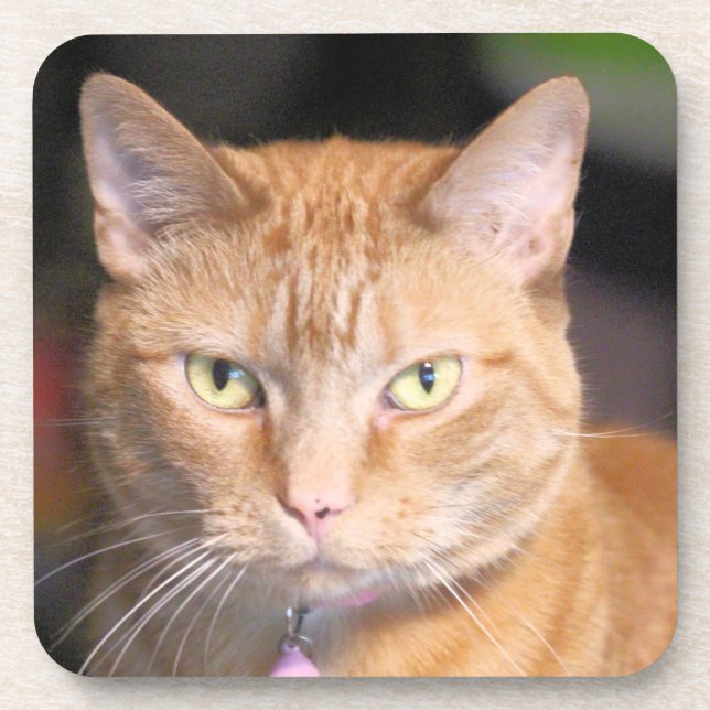 Posavasos Gato (Frente)