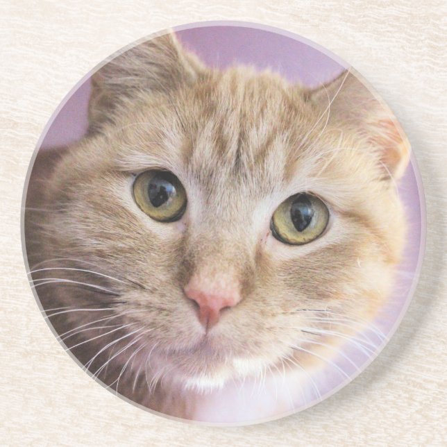 Posavasos Gato (Frente)