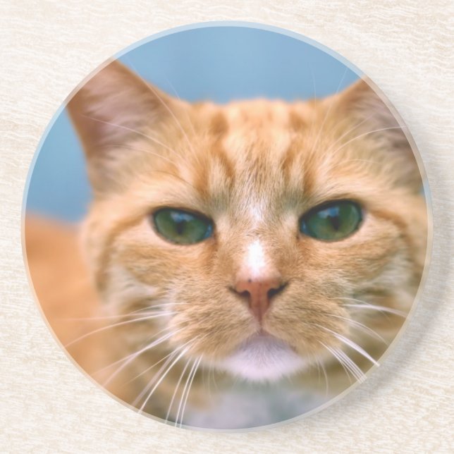 Posavasos Gato anaranjado del gatito del gatito del Tabby (Frente)