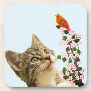 Posavasos Gato atigrado lindo y pajarito en azul claro