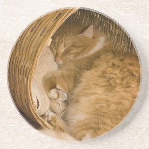 Posavasos Gato atigrado naranja durmiendo en cesto