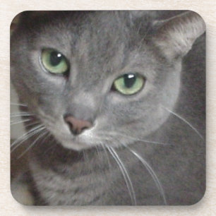 Posavasos Gato azul de Rusia