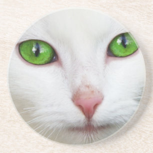 Posavasos Gato blanco con ojos verde esmeralda