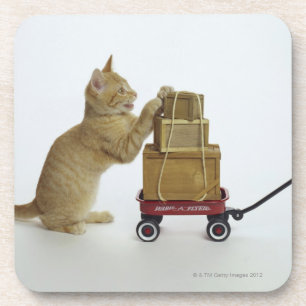 Posavasos Gato con el carro y las cajas