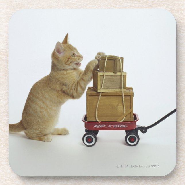 Posavasos Gato con el carro y las cajas (Frente)