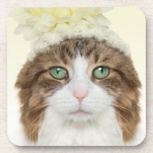 Posavasos Gato con el gorra de la flor