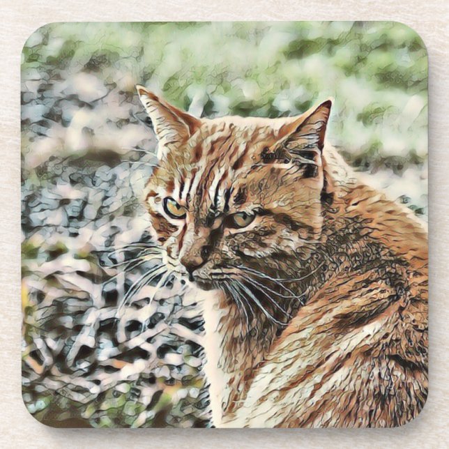 Posavasos gato de juguete (Frente)