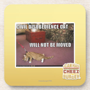 Posavasos Gato de la desobediencia civil