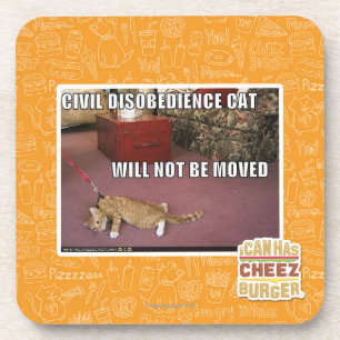 Posavasos Gato de la desobediencia civil