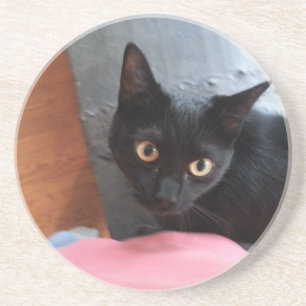 Posavasos Gato de Priscilla
