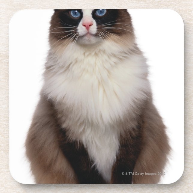 Posavasos Gato de Ragdoll (Frente)