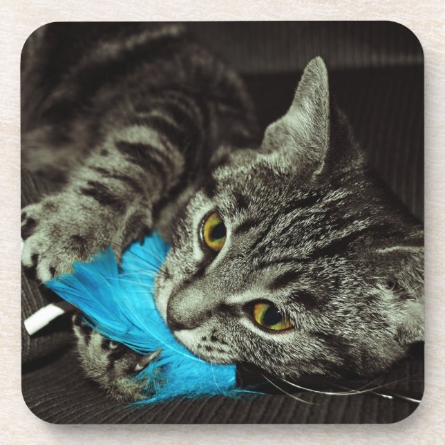 Posavasos Gato de Tabby con pluma de Shirley Taylor (Frente)