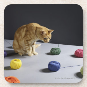Posavasos Gato de tabby del jengibre que se sienta en la
