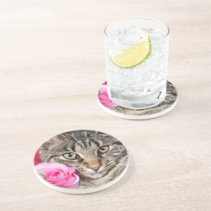 Posavasos Gato de Tabby lindo con el rosa