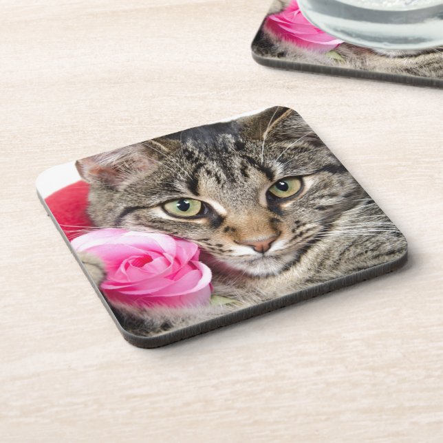 Posavasos Gato de Tabby lindo con el rosa (Lado Izquierdo)