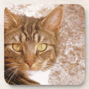 Posavasos Gato de tabla