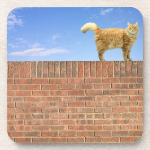 Posavasos Gato del jengibre que se coloca en la pared de
